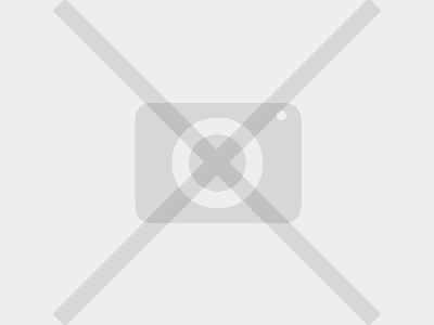 Euro Gard Zincat H-2000 L-2500 — Euro Gard Zincat d-3.2