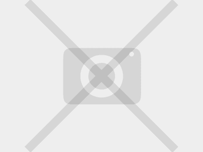 Euro Gard Zincat H-1000 L-2500 - Euro Gard Zincat d-3.2